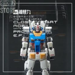 Inforce MG02 MG 1/100 RX-78-2 GUNDAM Ver.2.0 Internal Structure Showcase Display -Happy Toy Store ea3a7e4f81